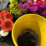 028033BC-62BC-425F-B1B5-4CBBF7AED969