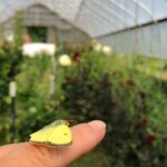 CF5CA247-2C1B-4532-825A-34F963184C81